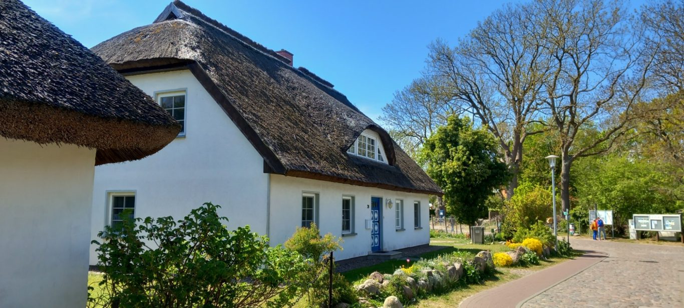 Groß Zicker - Reetdachhäuser im Ortsbild Weißes Reetdachhaus an der Dorfstraße in Groß Zicker