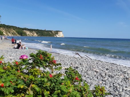 Strand am kap Arkona mit Steilküste