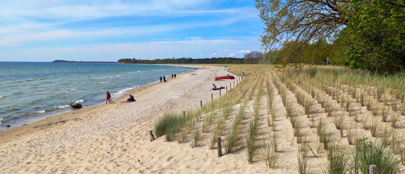 Südstrand im Ostseebad Göhren Sandstrand mit Strandhafer am Südstrand in Göhren