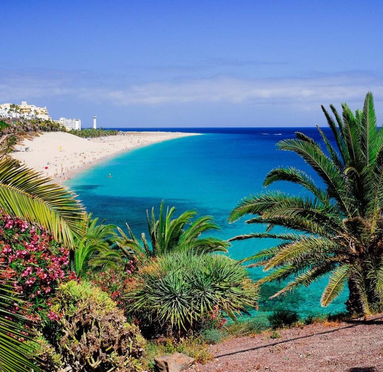 Strände und Palmen auf Fuerteventura von oben