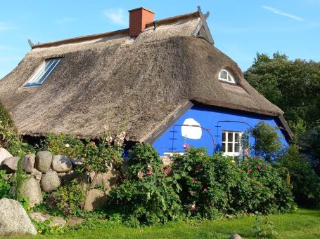 Blaues Reetdachhaus mit Blumenhecke