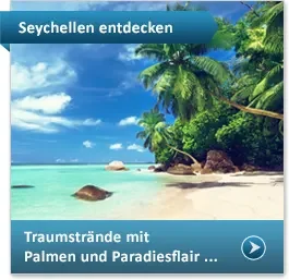 Palmen am Strand auf den Seychellen