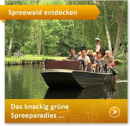 Spreewaldkahn mit Touristen im Spreewald